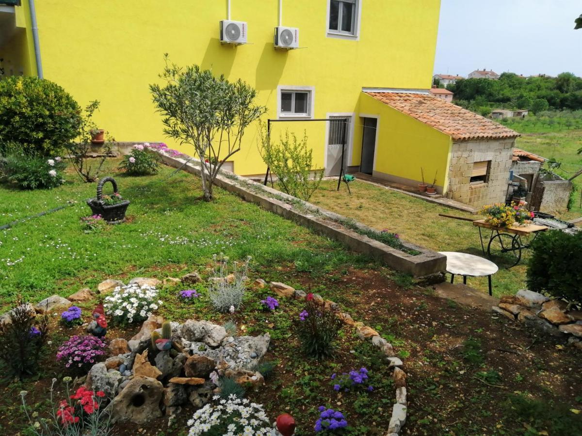 Studio Green Oasis L&D Pula Zewnętrze zdjęcie