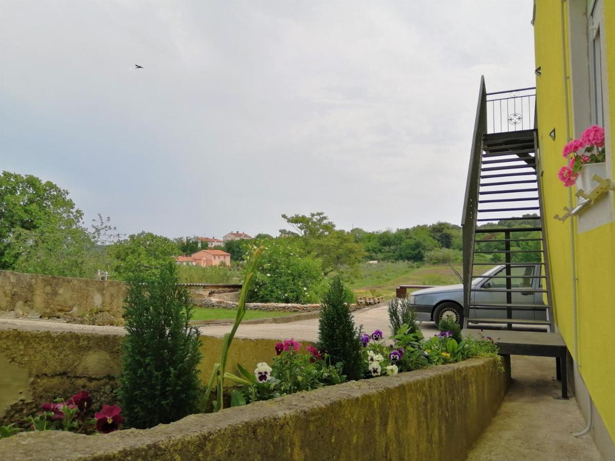 Studio Green Oasis L&D Pula Zewnętrze zdjęcie